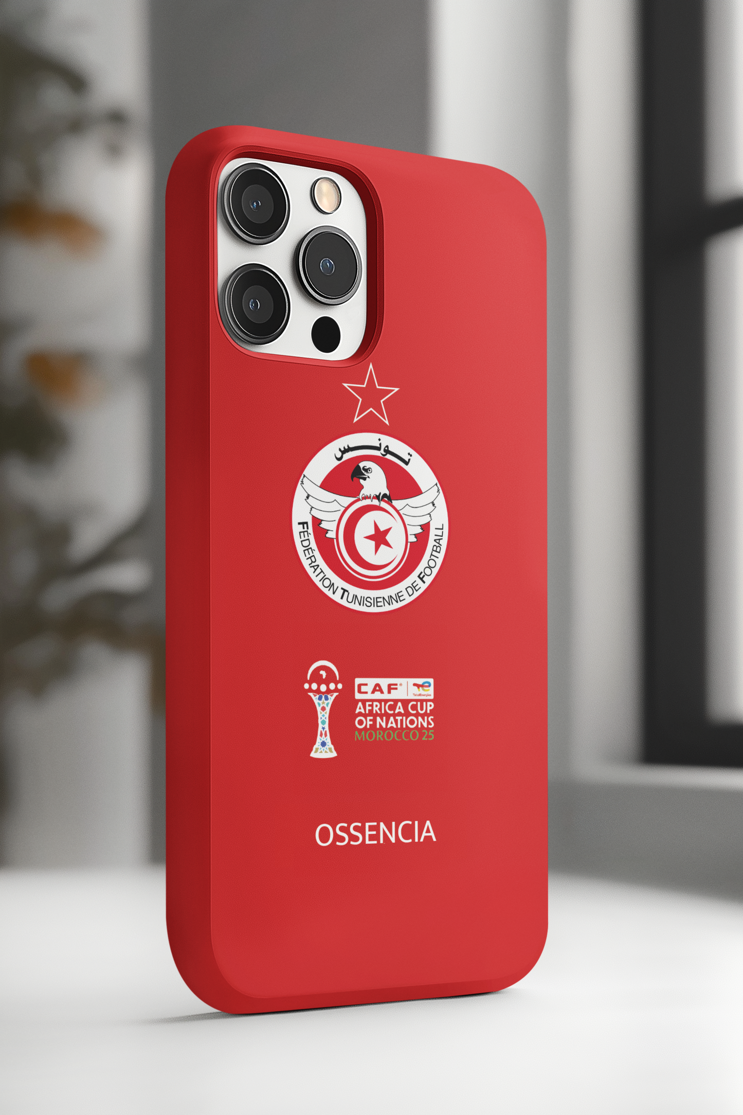 🇹🇳 Les Aigles de Carthage 2