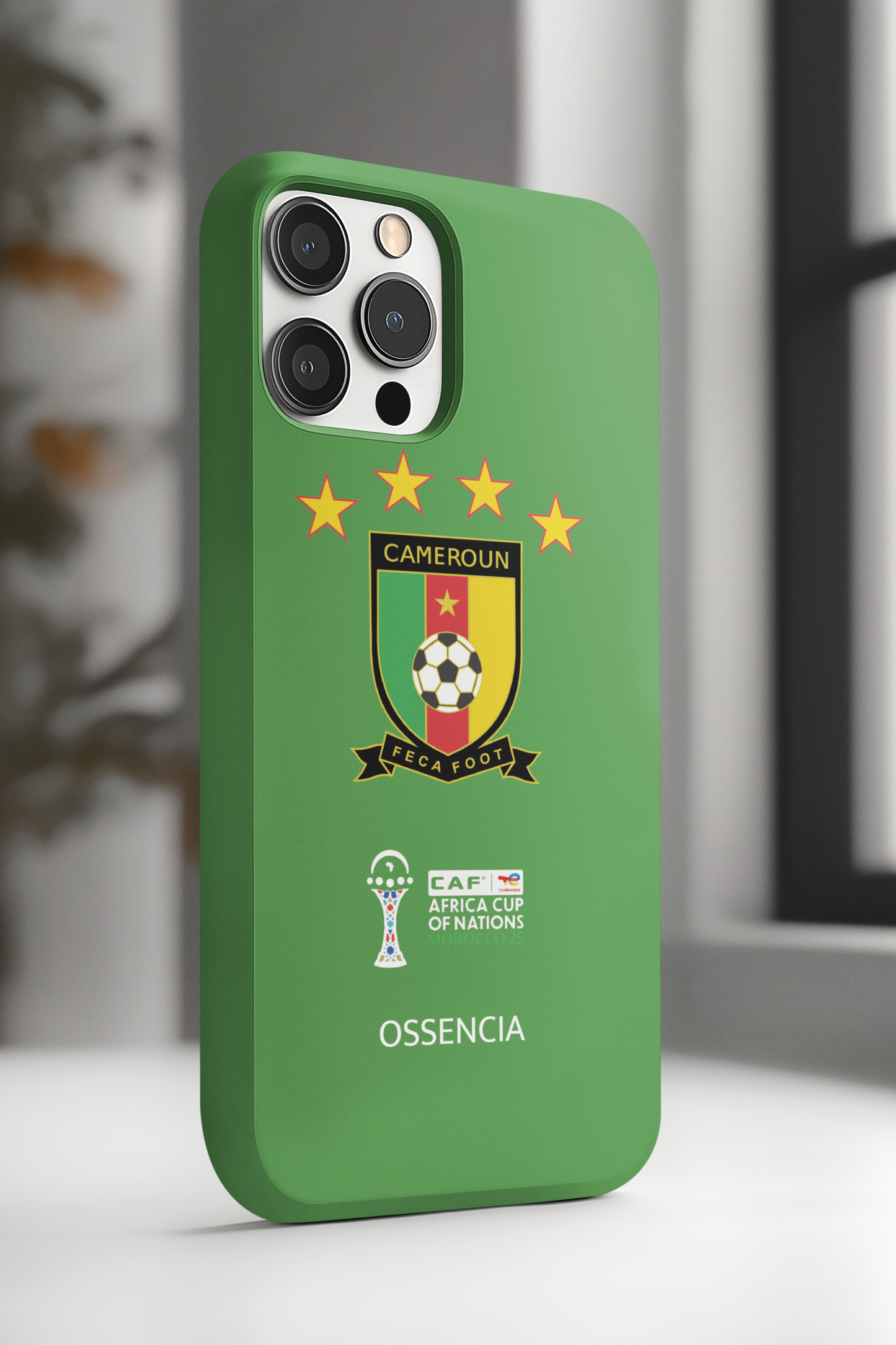 🇨🇲 Les Lions Indomptables